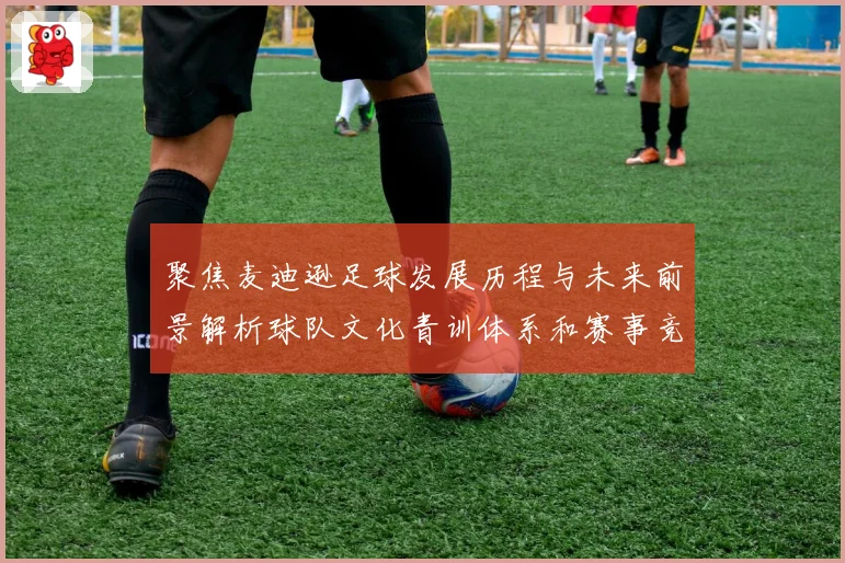 聚焦麦迪逊足球发展历程与未来前景解析球队文化青训体系和赛事竞争力