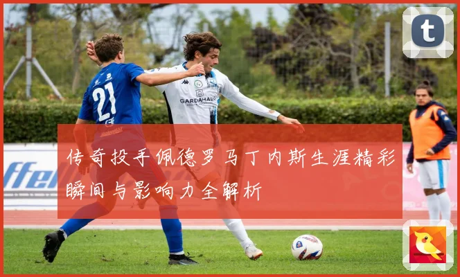 传奇投手佩德罗马丁内斯生涯精彩瞬间与影响力全解析